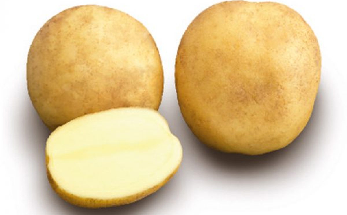 MANHATTAN PotatoPro