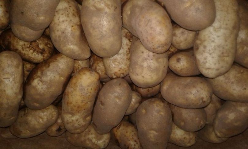 idaho-potatoes-809.jpg