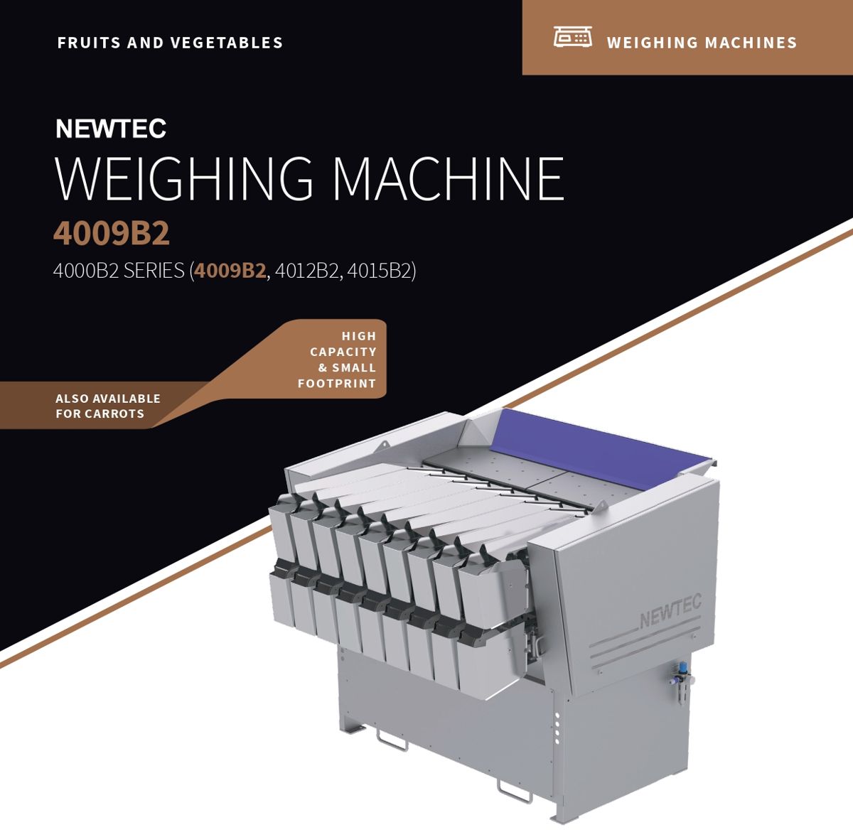 Newtec Weighing Machine 4009B2 Brochure