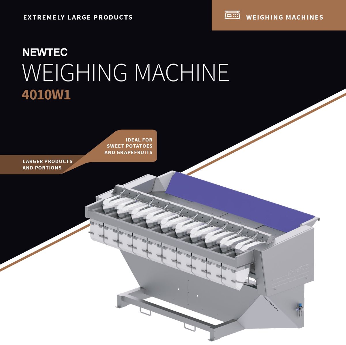 Newtec Weighing Machine 4010W1
