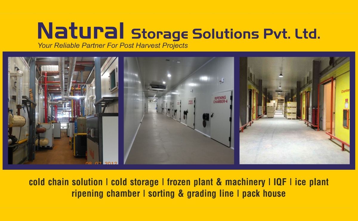 Natural Storage Solutions Pvt. Ltd., Cold Storage Manufacturers