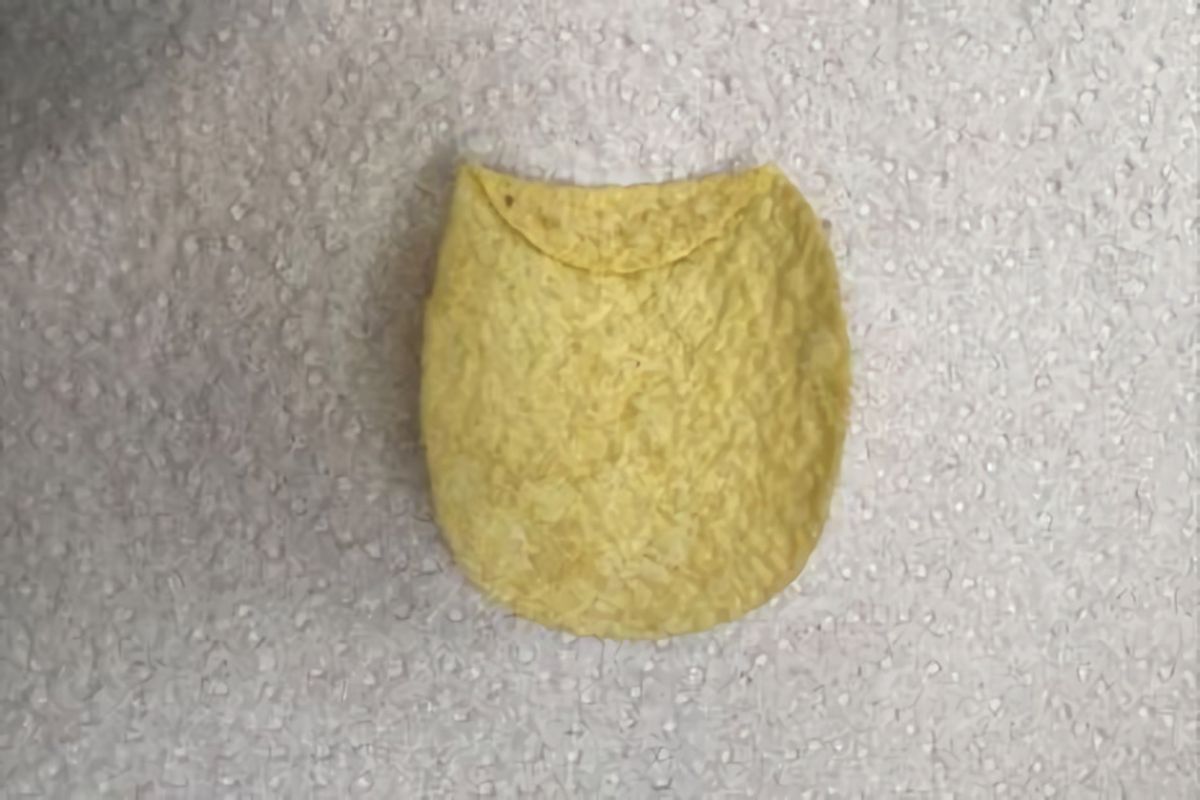 one-folded-pringle-is-selling-for-2000-1200.jpg