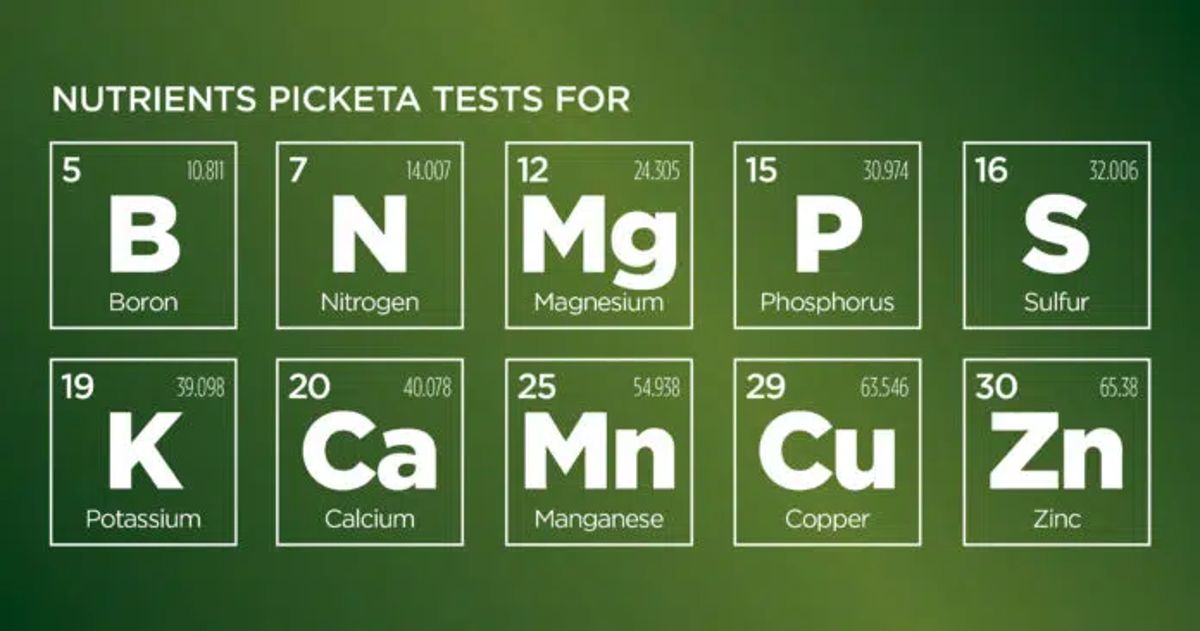 Nutrients Picketa Test(Courtesy: Seed World Group)