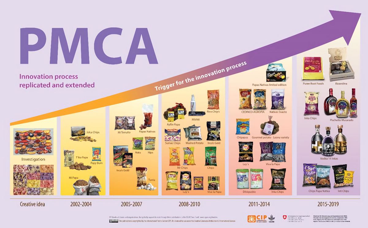 Figure 2. PMCA’s Influence on Innovation in New Potato Products in Peru (Source: Author’s own elaboration).