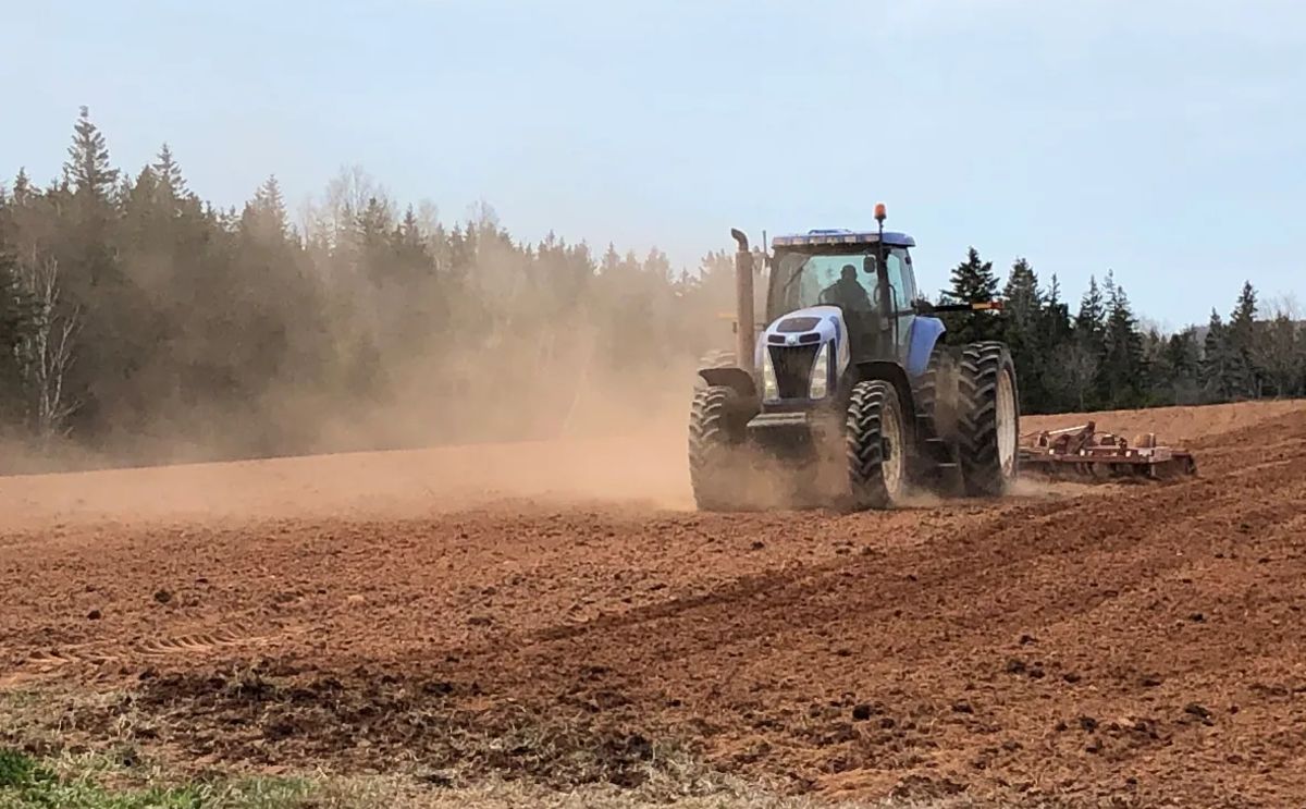 MacIsaac says 'there's nothing nicer than to plant a crop, work all season and grow it, harvest it and do that to the very extent of your ability.' (Courtesy: Kerry Campbell/CBC)