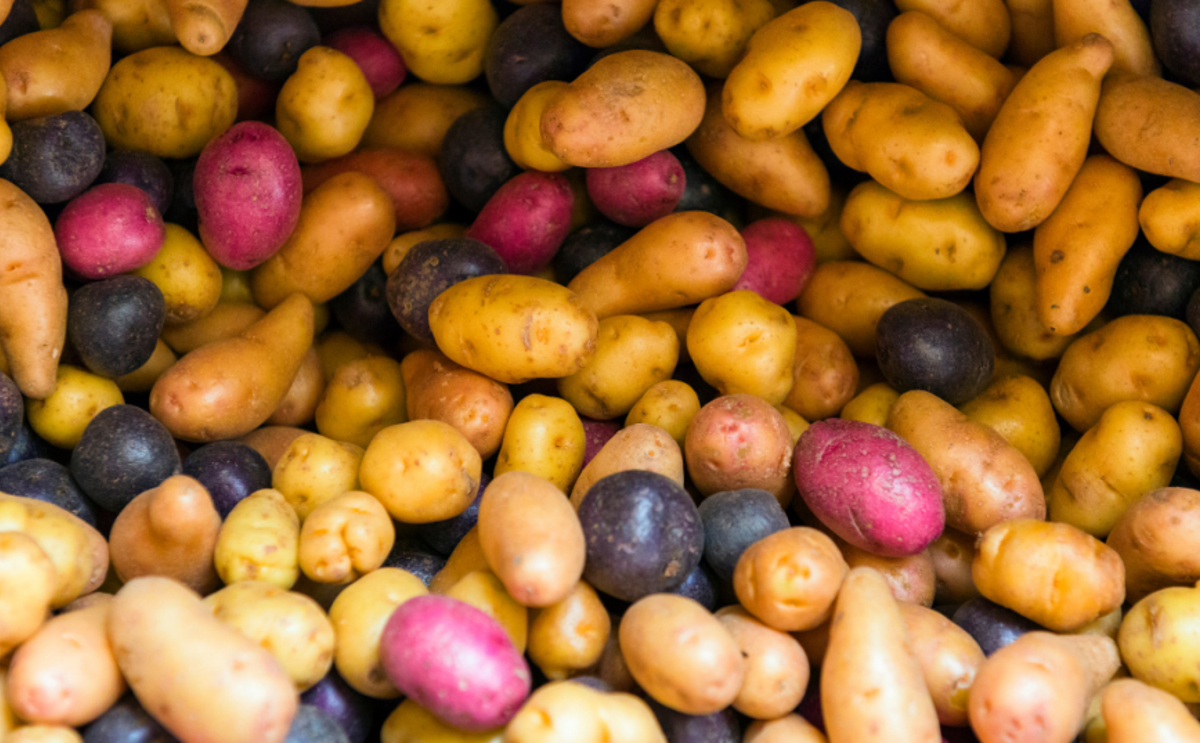 potato-colorful-mix-like-wa-state-farmers-market-1200.jpg