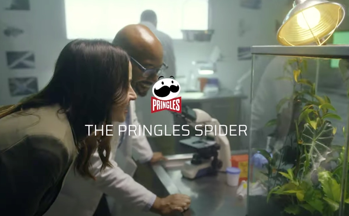 The Pringles Spider.