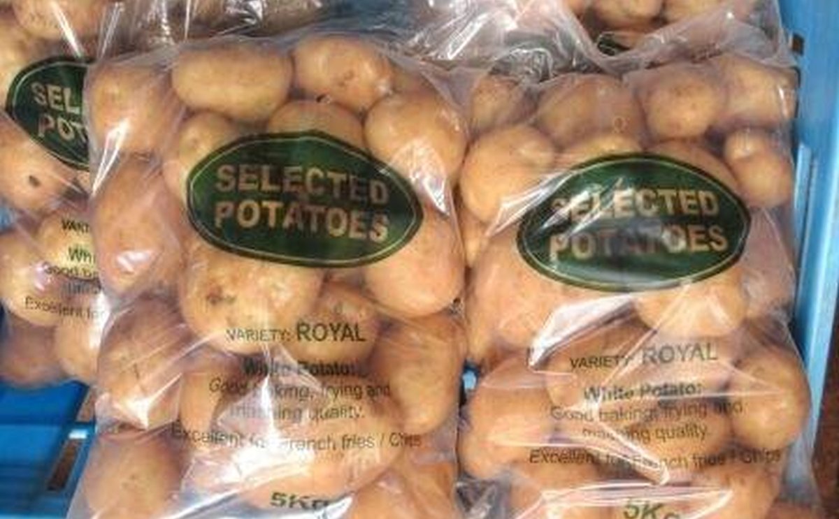 seed-potato-4-1200.jpg