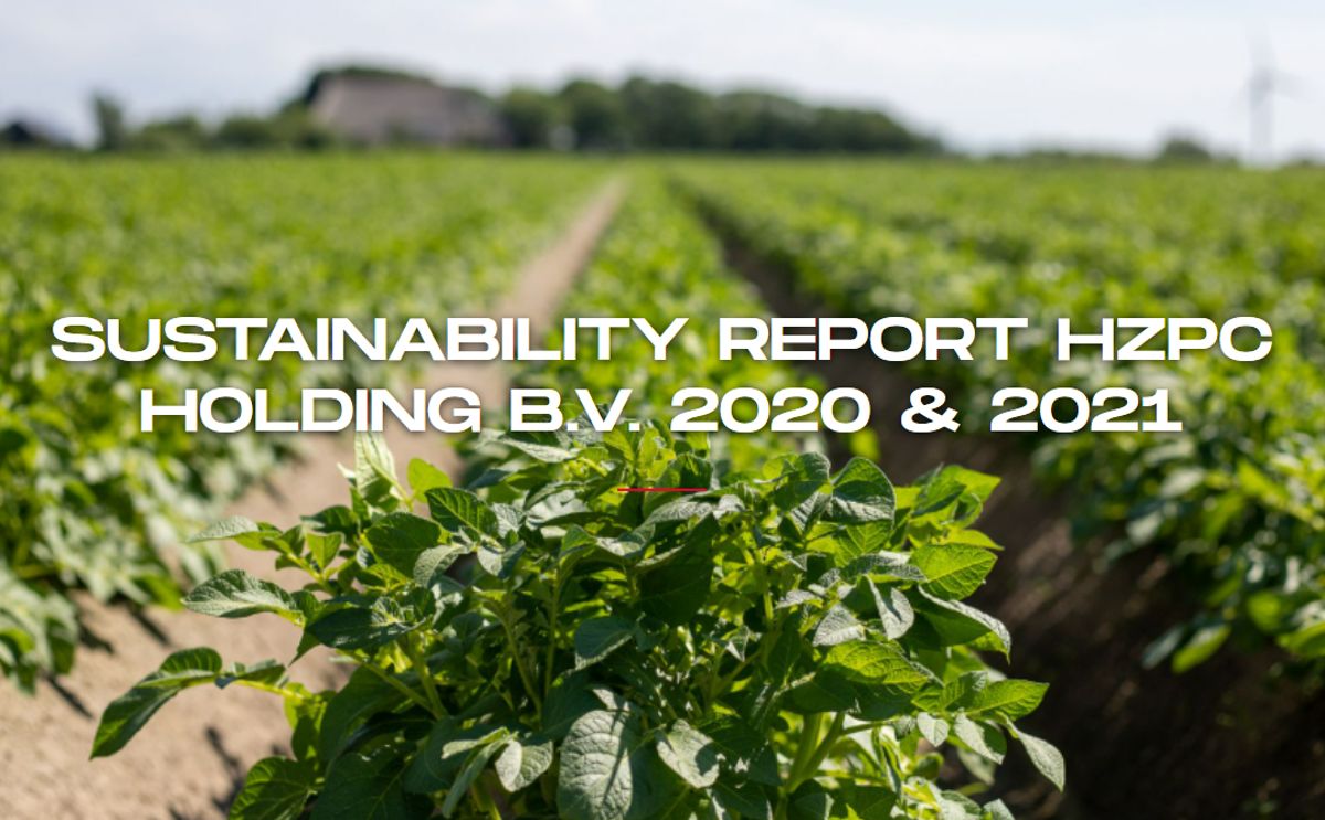 Sustainability Report HZPC Holding B.V. 2020 & 2021