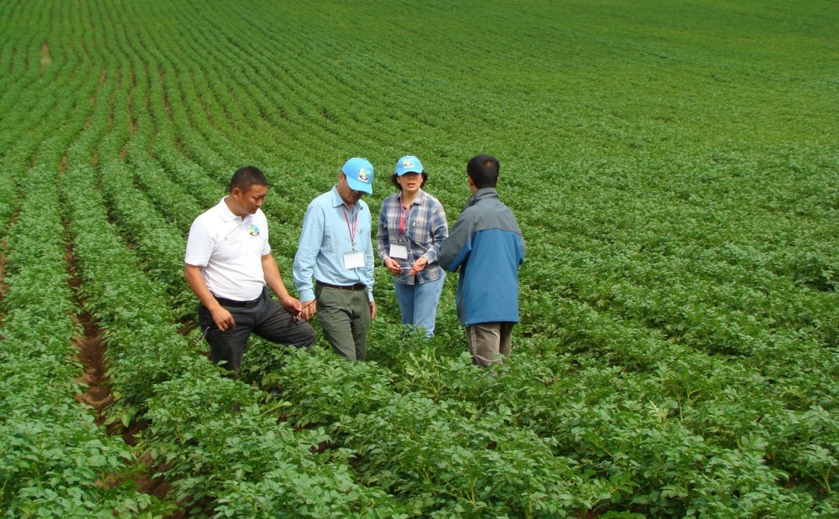 Mongolia fully self-sufficient for wheat and potato, says agriculture minister - PotatoPro