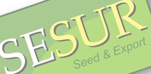 Sesur Seed and Export