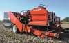 Dewulf Torro Trailed 2-row sieving harvester